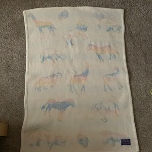 Noah’s Ark baby Pendleton baby blanket